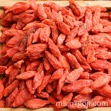 Berry goji organik kering wolfberry pembelian dalam talian